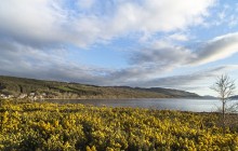 The Complete Loch Ness Experience from Inverness