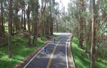 Self-Guided MORNING Haleakala Bicycle Tour