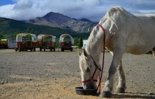 Horse Drawn Covered Wagon with Back Country Dining