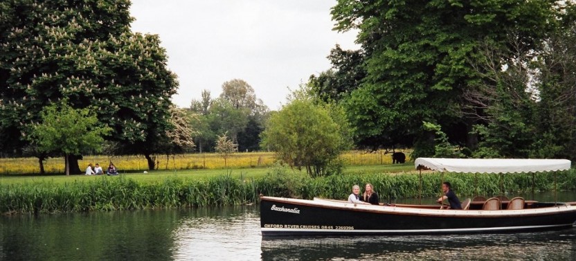 Afternoon Tea Cruise