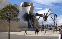 Bilbao Guggenheim Museum Small Group Tour