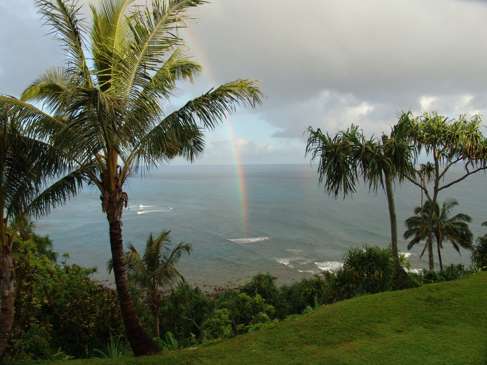 Best of Kauai Tour Lihue Project Expedition