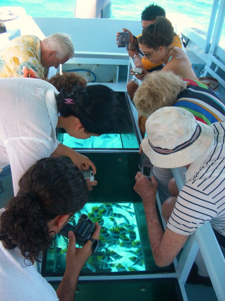 Bora Bora Glass Bottom Boat Vaitape Project Expedition
