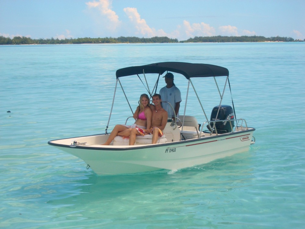 Boston Whaler Boat Rental Vaitape Project Expedition