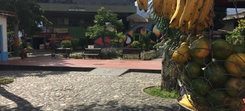 Private Medellin Market Places and Local Fruits