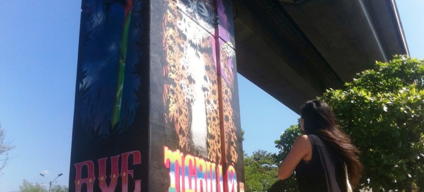 Private Medellin Street Art Tour