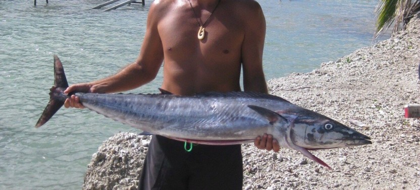 Private Bora Bora Lagoon Fishing