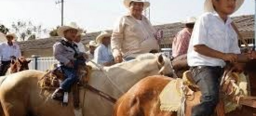 Private Horse Rides near Medellin