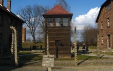 Auschwitz - Birkenau: Museum Guided Tour