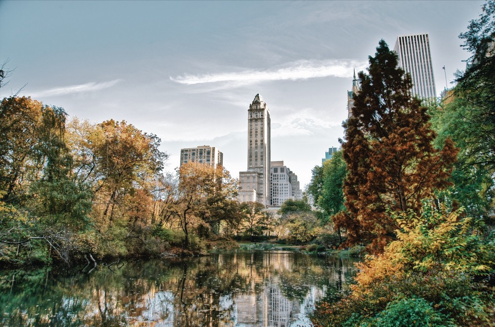 The Essential Central Park Guided Semi Private Walking Tour