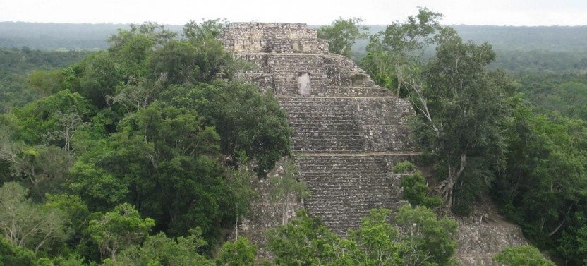 Tikal 1-Day Park Tour