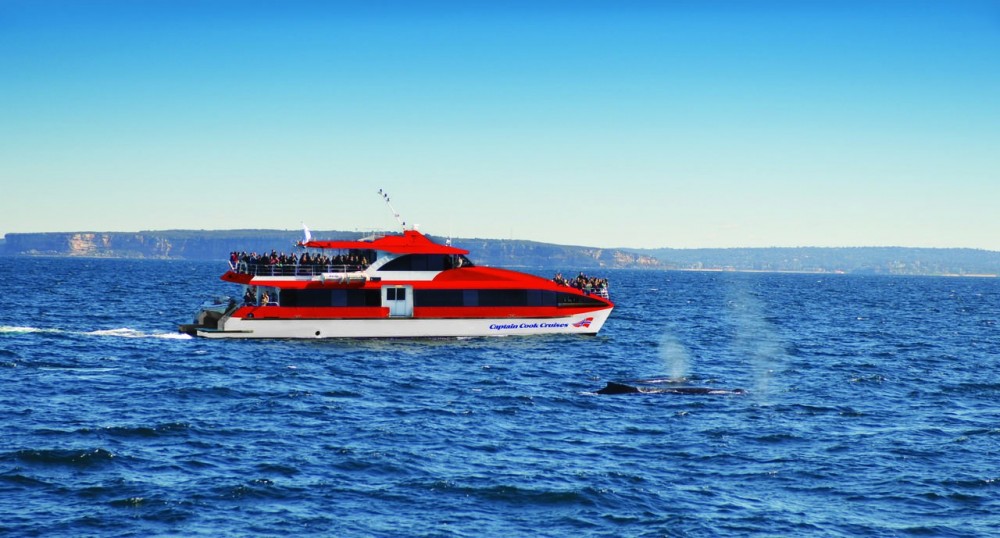 starlight yacht dinner cruise