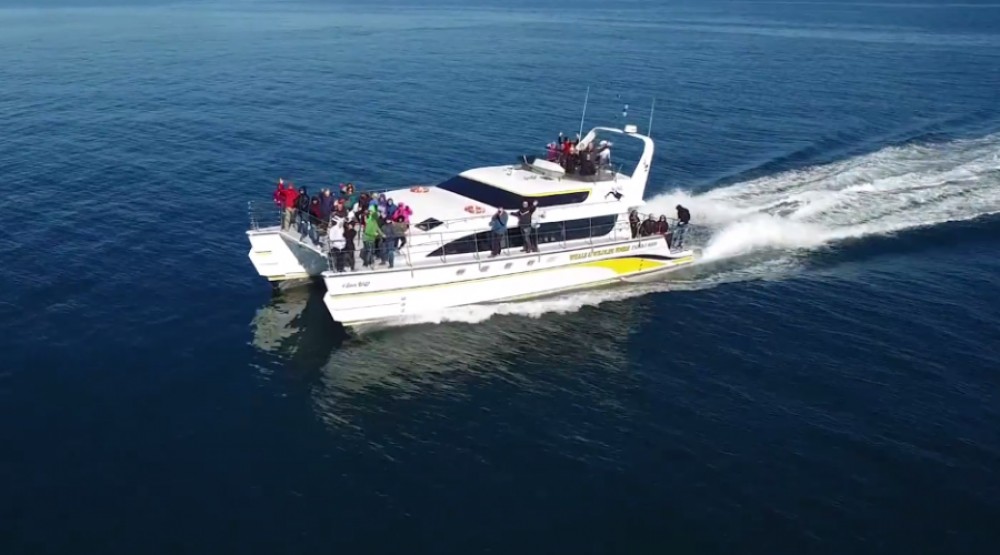 Eagle Wing Tours
