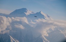 Denali Peak Experience Flight