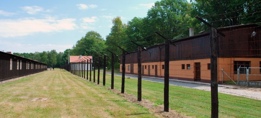 Gdansk Stuffhof & Malbork Castle (Private Tour)