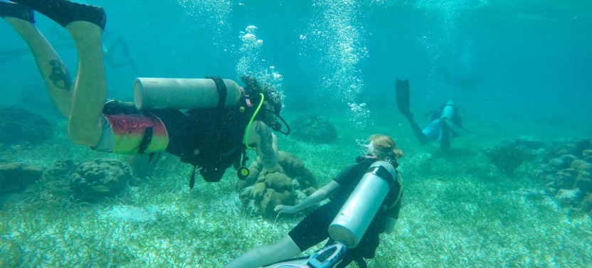 Discover Scuba Diving
