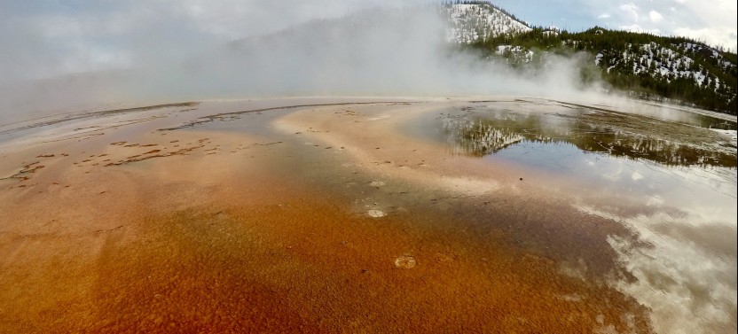 Yellowstone: Private Scenic Driving Summer Tour