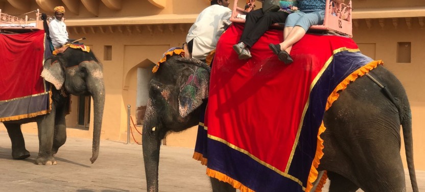5 Days Private Luxury Golden Triangle Tour From Delhi