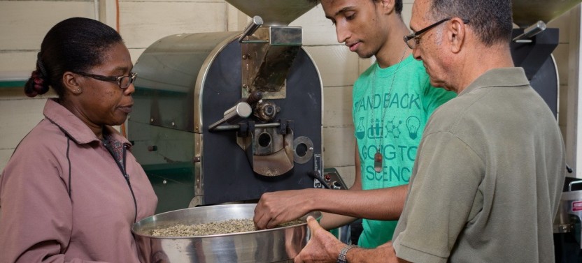 Blue Mountain Hike and Coffee Tour from Ocho Rios