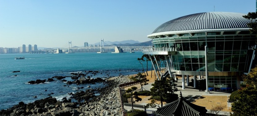 Busan Day Tour (B) with Dalmaji Road + Yonggungsa Temple
