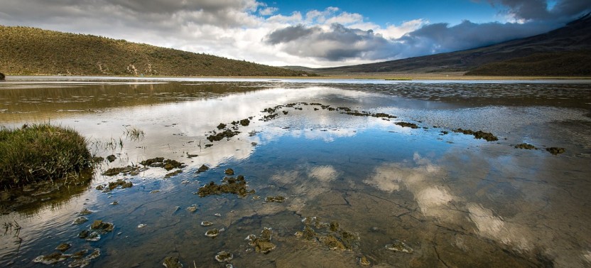 Private Cotopaxi National Park Tour | Full-Day Adventure from Quito