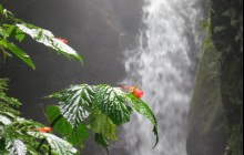 Latin Adventures3