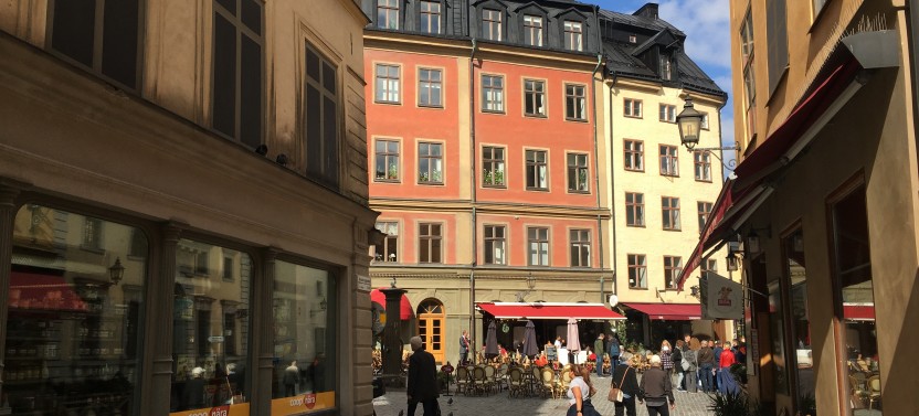 Private Stockholm Tour with Vasa Museum and Thiel Gallery
