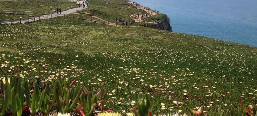 Small Group Sintra, Cascais & Estoril Tour