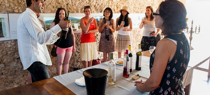 Small Group Arrabida Wine Tour