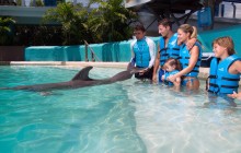 Interactive Aquarium Cancun: Premium Package