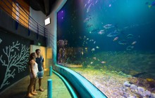 Interactive Aquarium Cancun: Premium Package