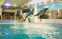 Interactive Aquarium Cancun: Premium Package