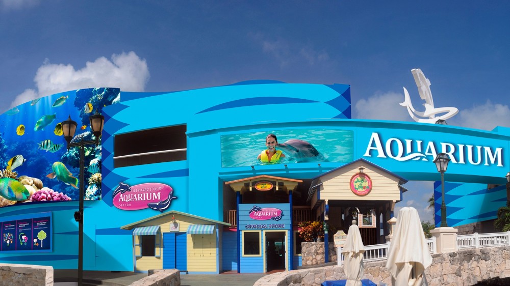 Interactive Aquarium Cancun Premium Package Cancun Project Expedition