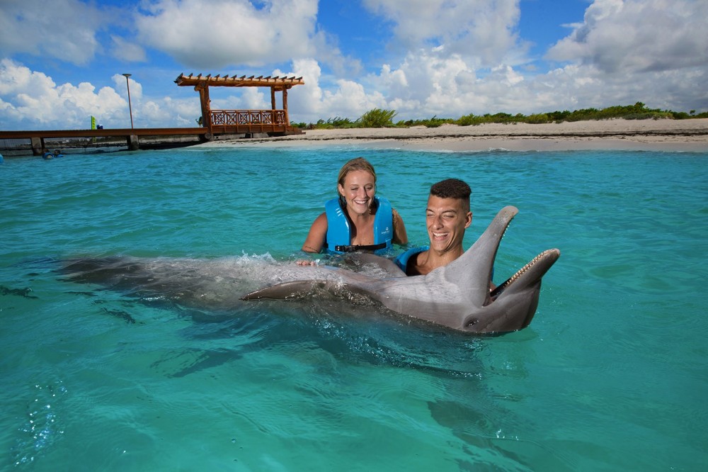 Playa Mujeres Delphinus: Couples Dreams