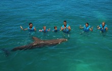 Playa Mujeres Delphinus: Dolphin Ride