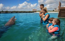 Playa Mujeres Delphinus: Dolphin Ride
