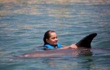 Puerto Morelos Delphinus: Couples Dreams