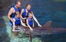 Puerto Morelos Delphinus: Dolphin Ride