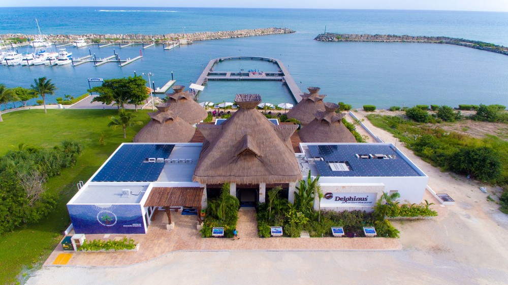 Puerto Morelos Delphinus: Primax