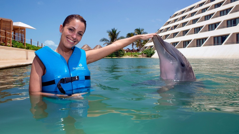 dolphin ride cancun