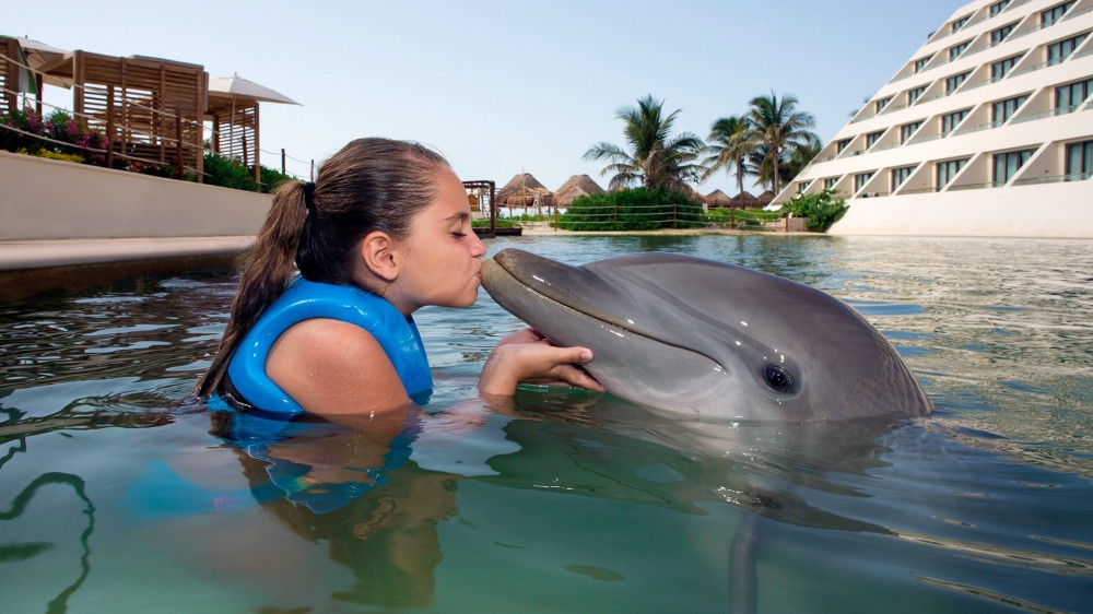 dolphin excursions in cancun