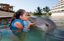 Punta Cancun Delphinus: Dolphin Ride