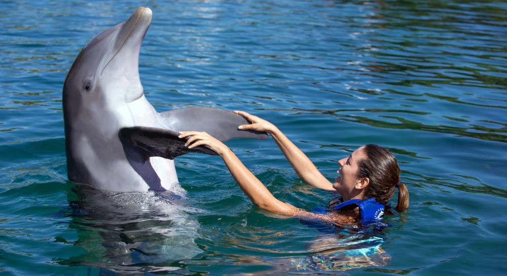 Xcaret Delphinus: Dolphin Tour Plus with Interax - Playa del Carmen ...