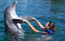 Xcaret Delphinus: Dolphin Tour Plus with Interax