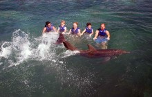 Xcaret Delphinus: Dolphin Tour Plus with Interax