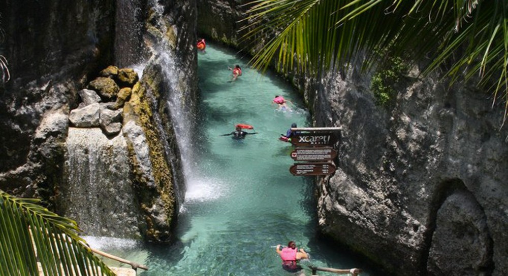 Xcaret Delphinus: Dolphin Tour Plus With Primax - Playa del Carmen ...