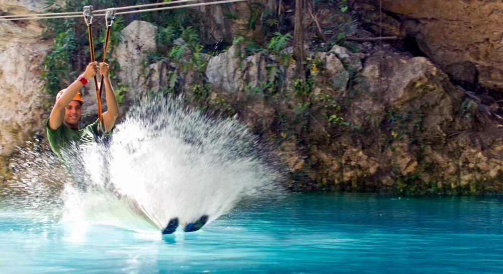 Delphinus