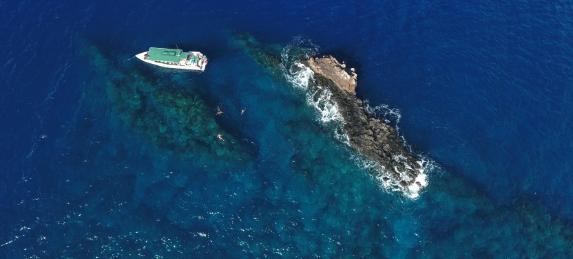 Half Day Snorkeling to the Island of Lanai