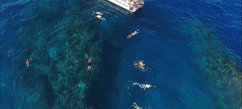 Half Day Snorkeling to the Island of Lanai