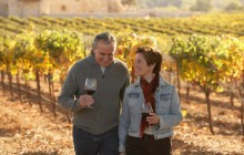 Appellation Wine Tours2